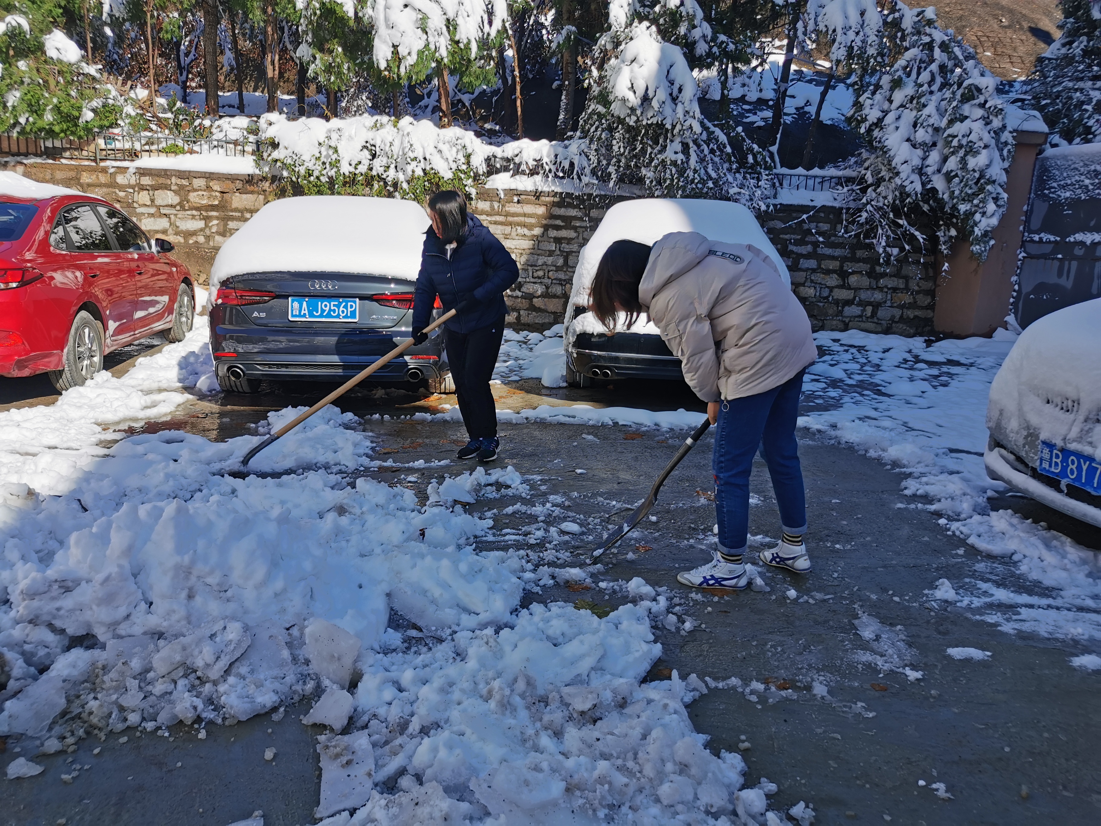 “不畏严寒铲冰雪，团结协作保平安”青年干部积极践行“我为群众办实事”(图2)
