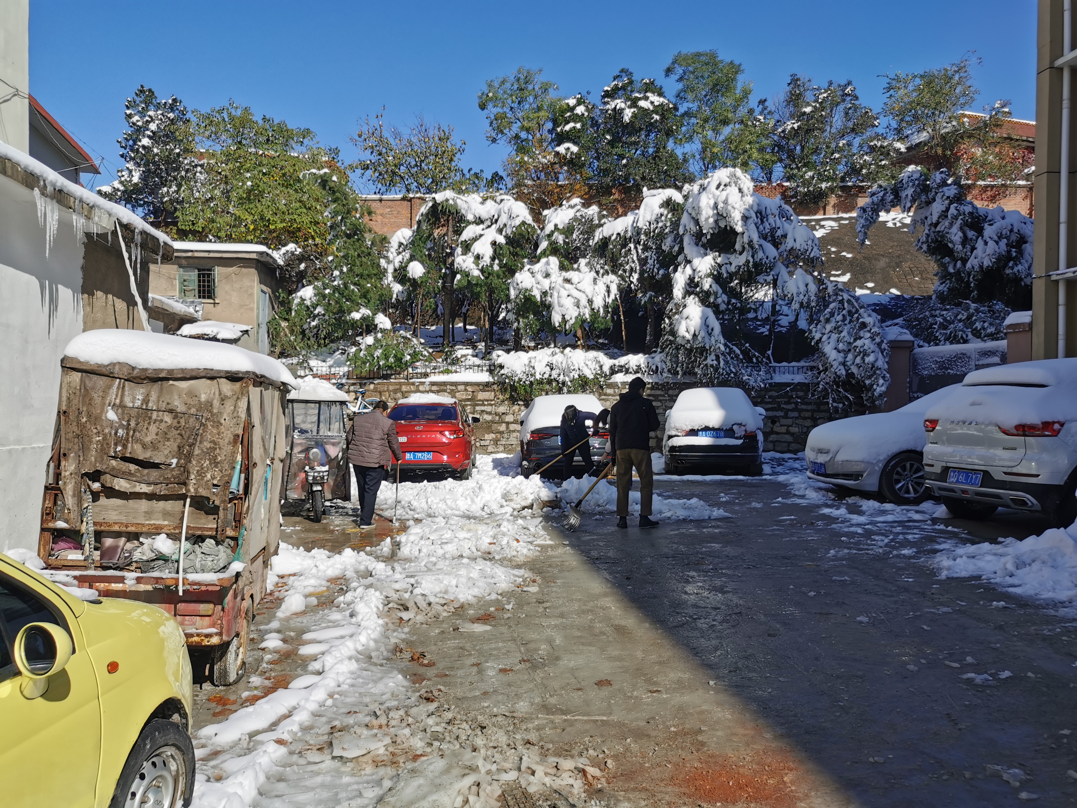 “不畏严寒铲冰雪，团结协作保平安”青年干部积极践行“我为群众办实事”(图4)